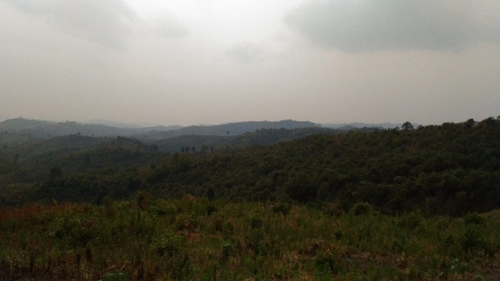 〈どこか懐かしさを感じる村周辺の山林の風景〉