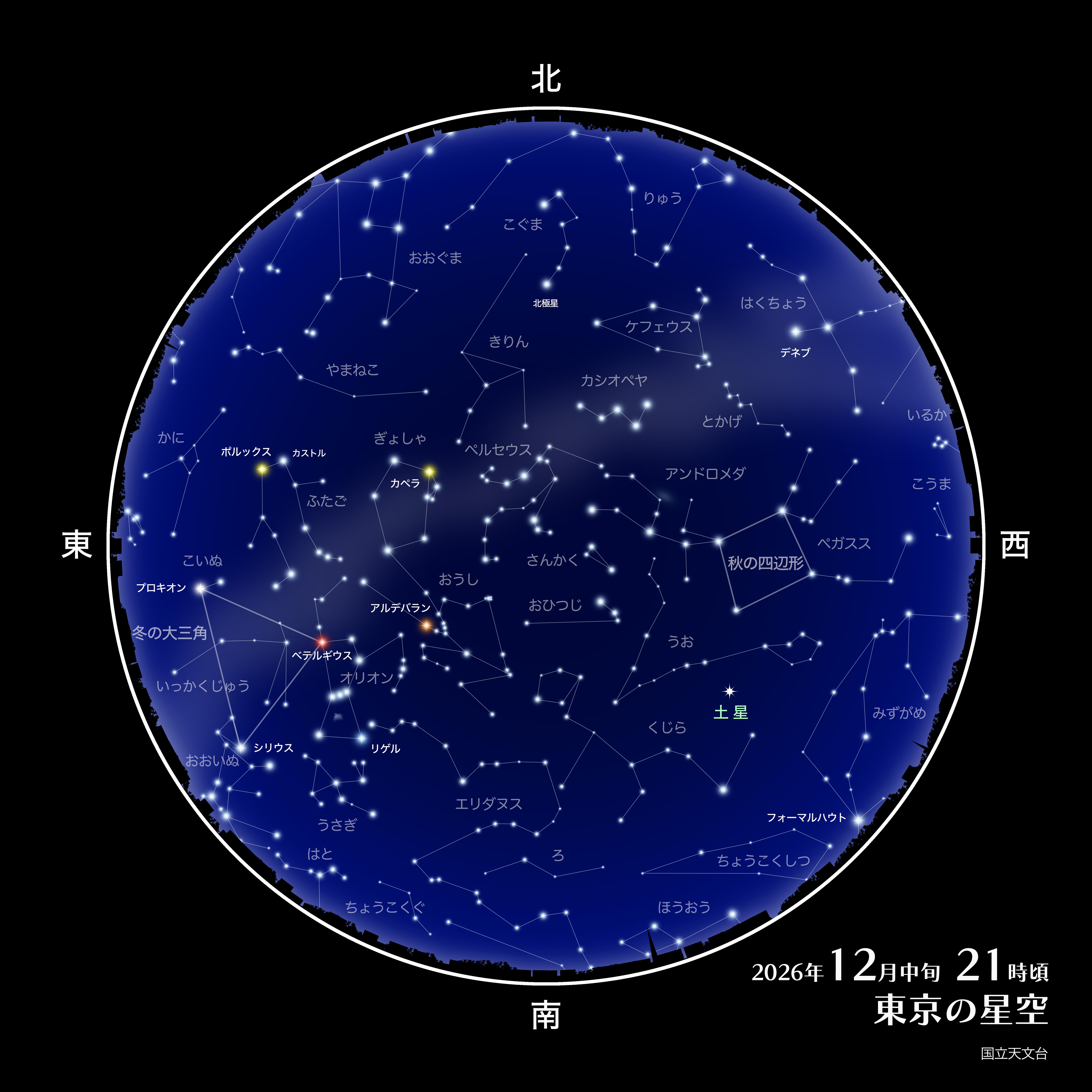 第一線の研究者と天体観望