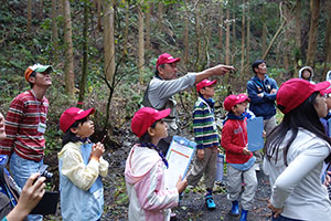 豊かな森にはさまざまな生き物がいます