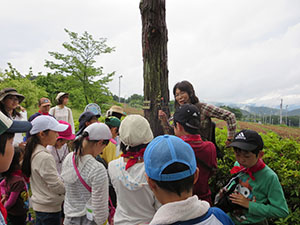 講師の説明を真剣に聞いています！