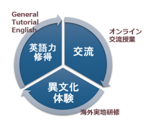 英語力習得_図